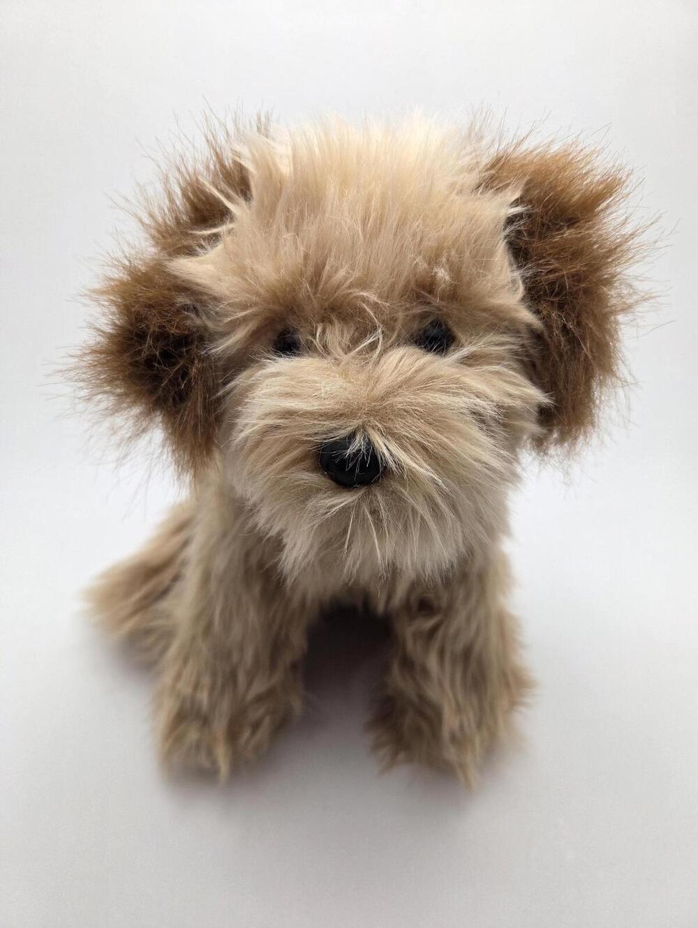 Ty Classics Collection “Jax” the Adorable Dog Plush - No Hang Tag (12 inch)